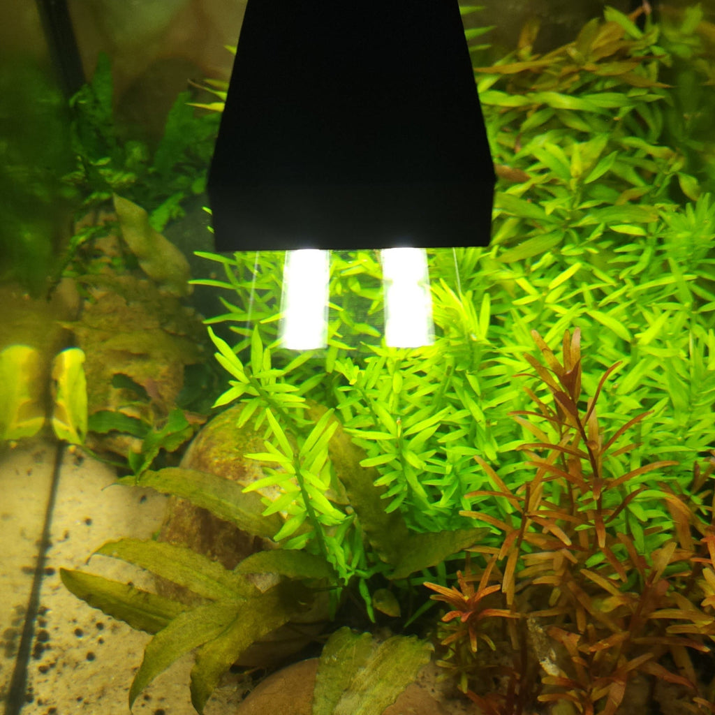 5 Gallon All In One Kit
