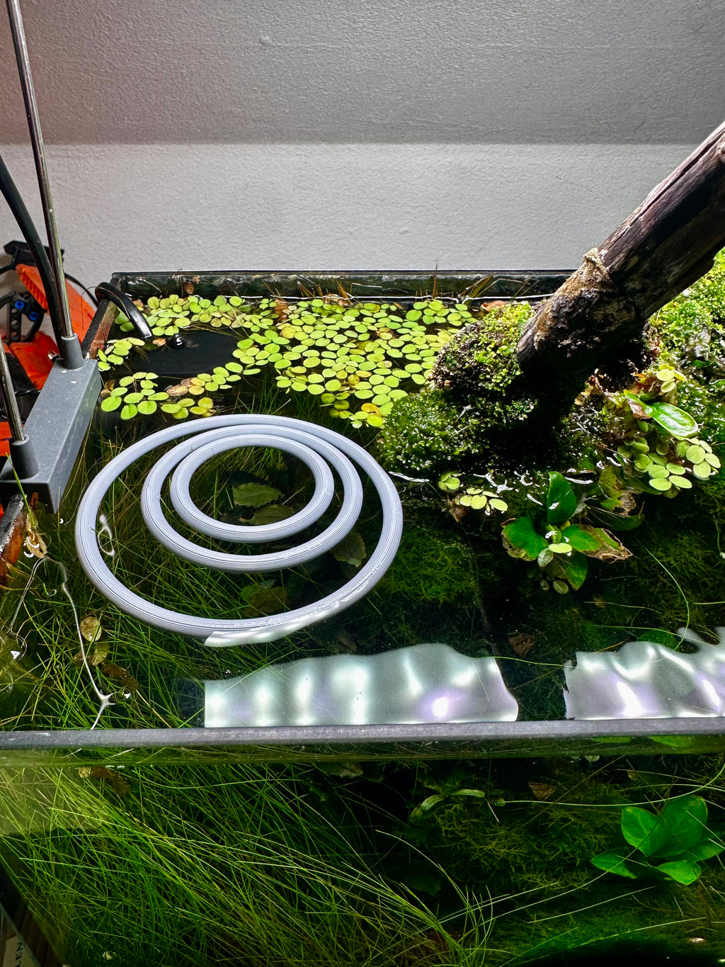Aquarium floating rings variety pack