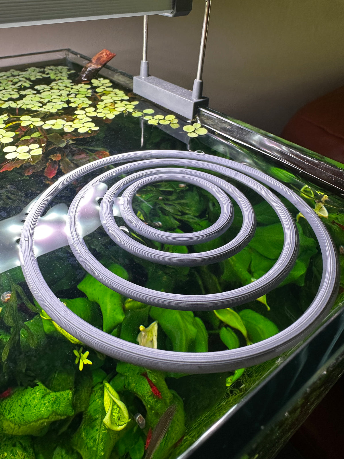 Aquarium floating rings variety pack